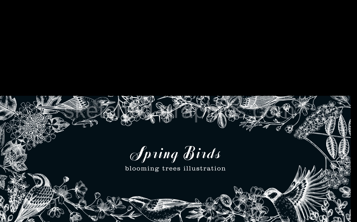 Flowering trees with birds banner. Vintage frame designs with birds, flowers, blooming branches sketches. Hand drawn almond, willow, rowan, willow, cherry blossom isolated on chalkboard Illustration